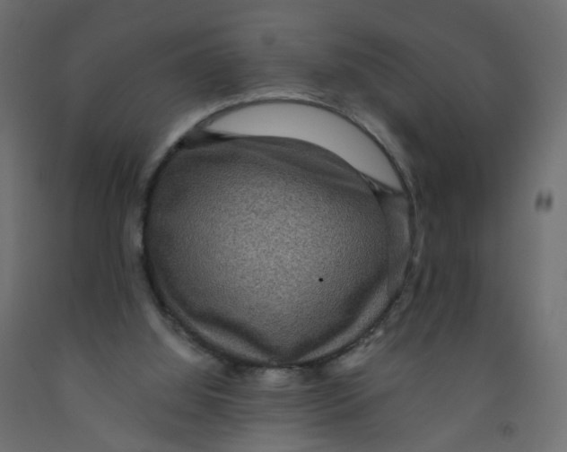 X0000091960060200710041037