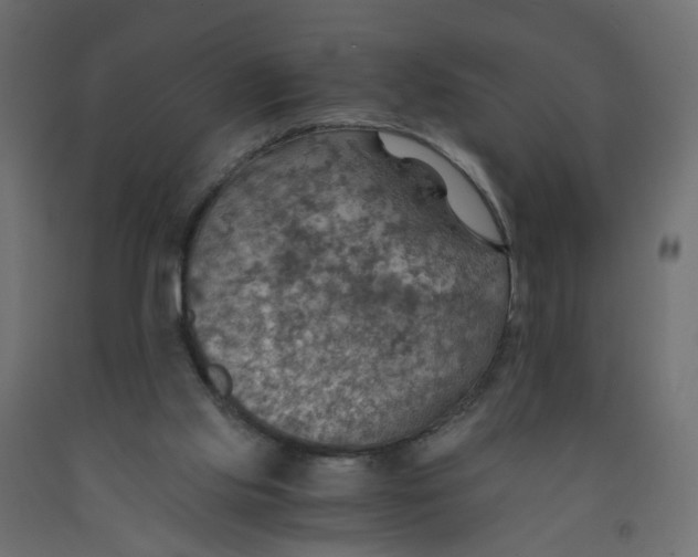 X0000091960061200710041037