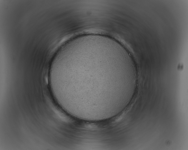 X0000091960062200710041037