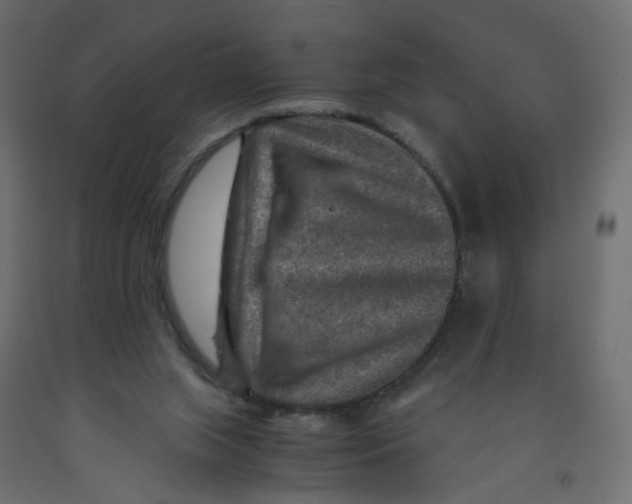 X0000091960063200710041037