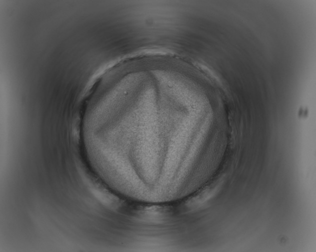 X0000091960064200710041037