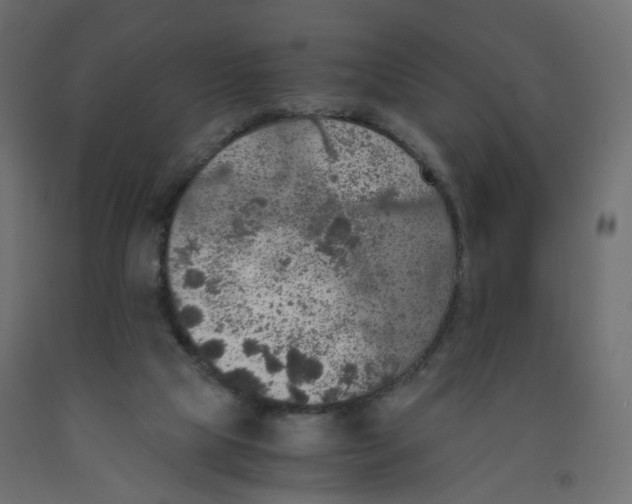 X0000091960065200710041037