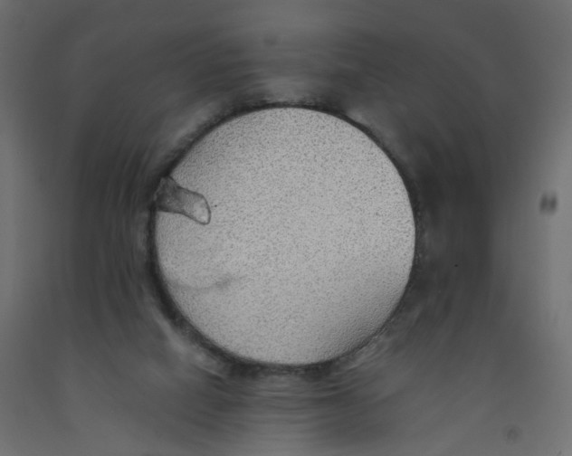X0000091960066200710041037