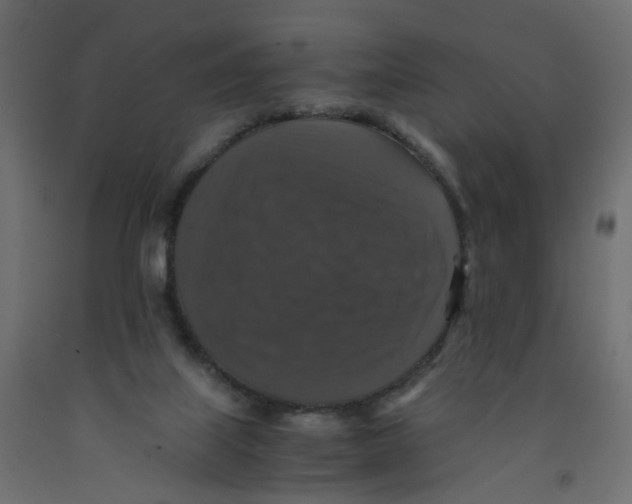 X0000091960067200710041037