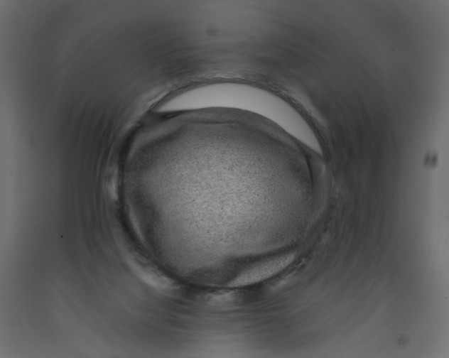 X0000091960068200710041037