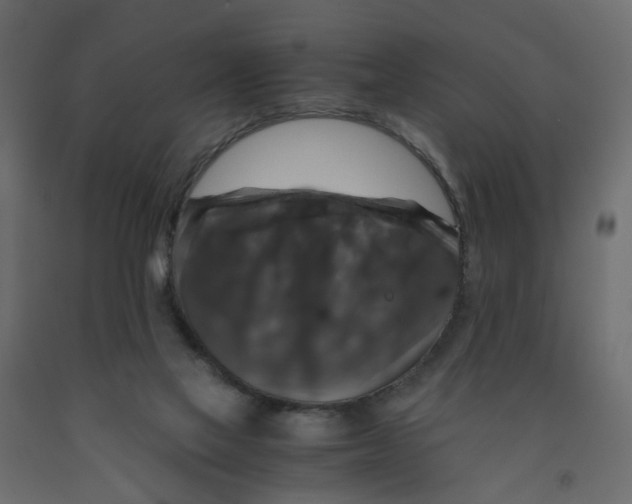 X0000091960069200710041037