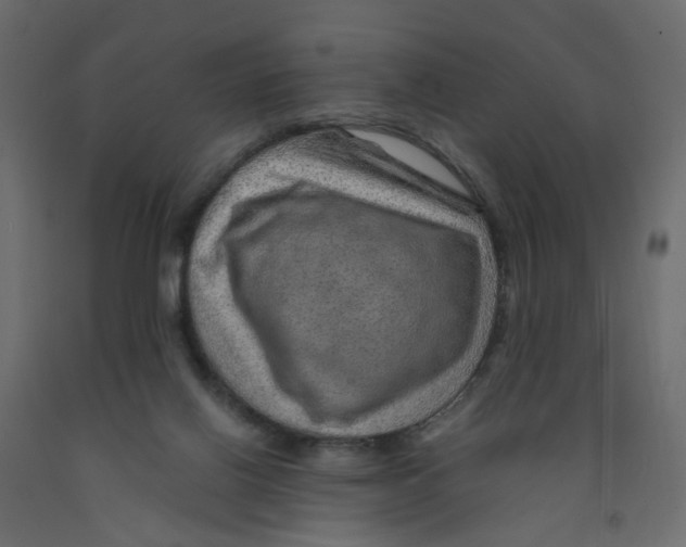 X0000091960070200710041037