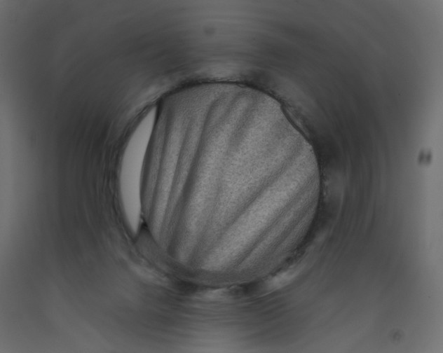 X0000091960072200710041037