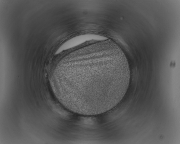 X0000091960073200710041037