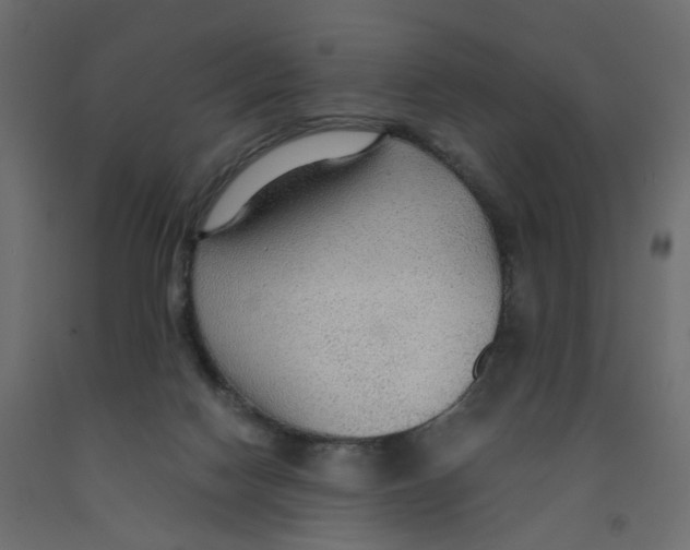 X0000091960074200710041037