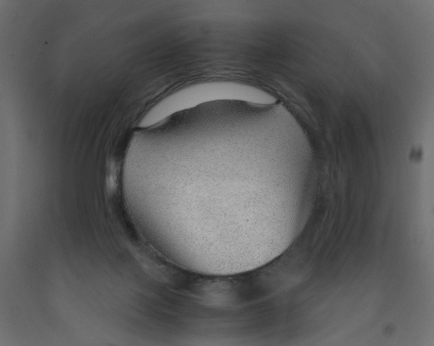 X0000091960075200710041037