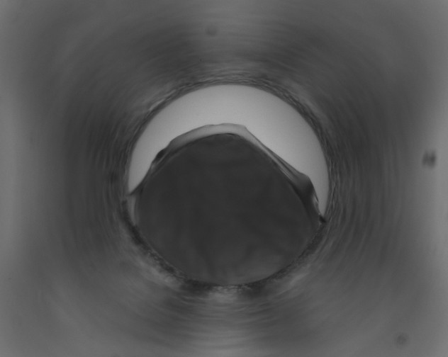 X0000091960076200710041037