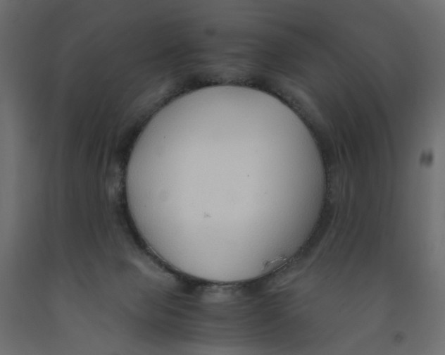X0000091960077200710041037