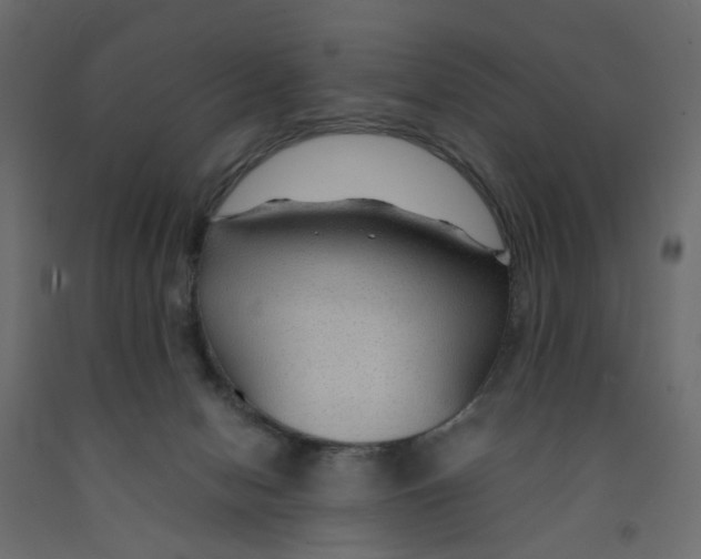 X0000091960078200710041037