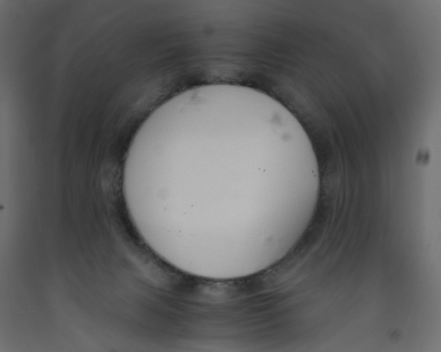 X0000091960079200710041037