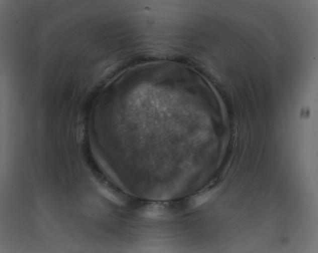 X0000091960080200710041037