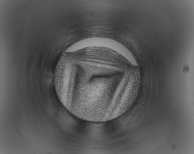 X0000091960081200710041037