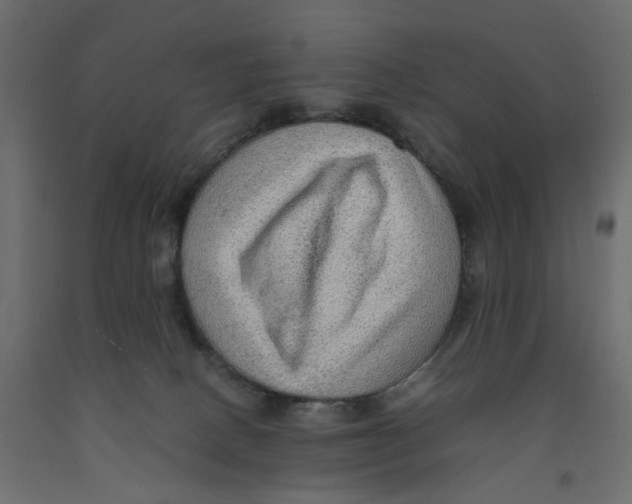 X0000091960082200710041037