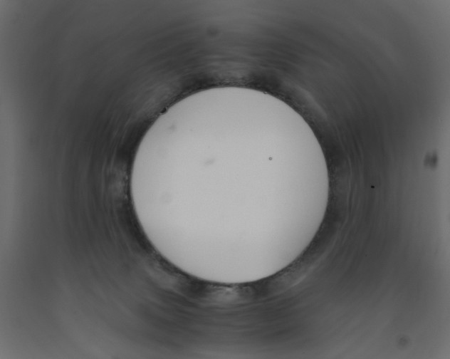 X0000091960083200710041037