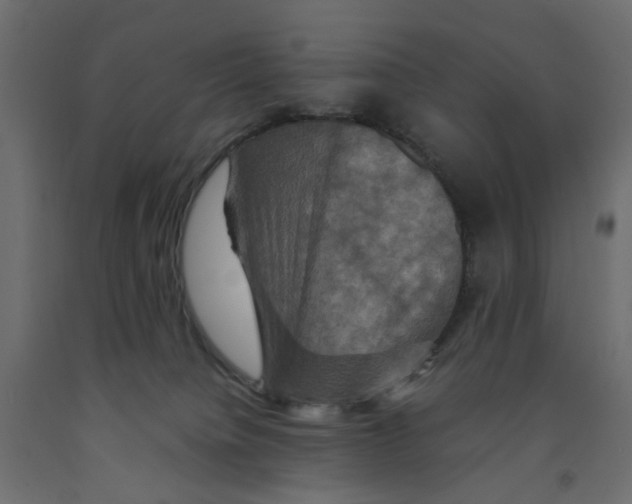 X0000091960084200710041037