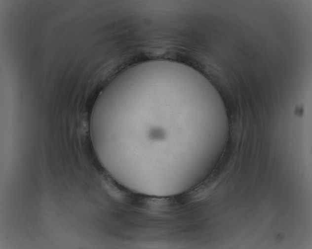 X0000091960085200710041037