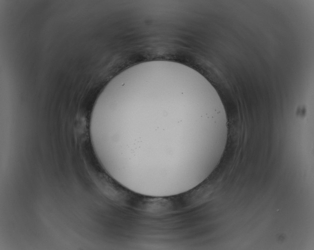 X0000091960087200710041037