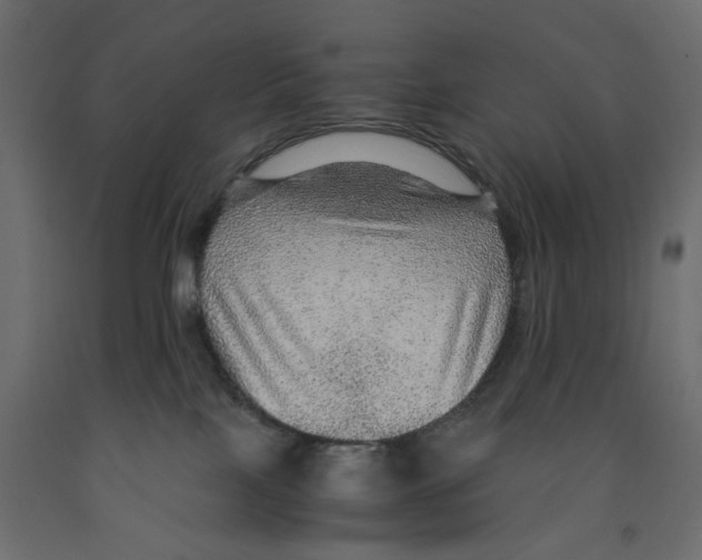 X0000091960089200710041037