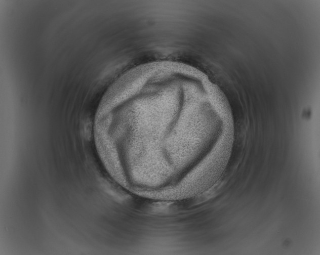 X0000091960090200710041037