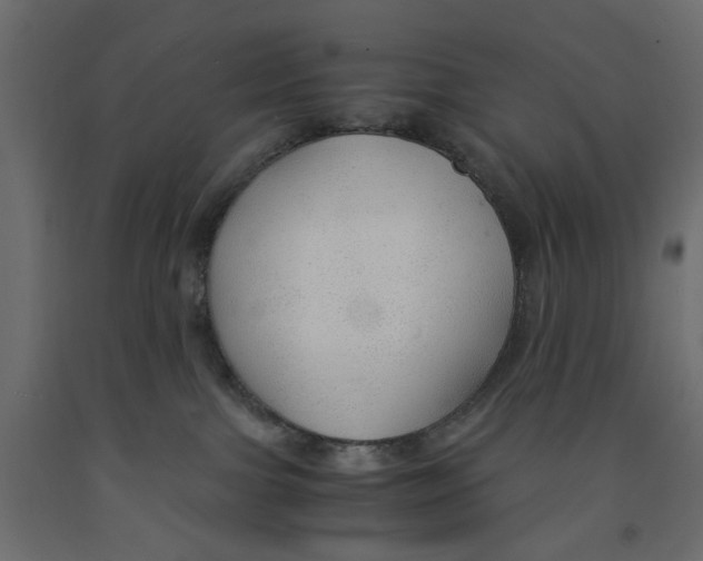 X0000091960091200710041037