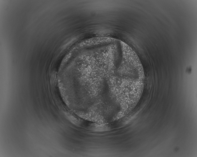 X0000091960093200710041037