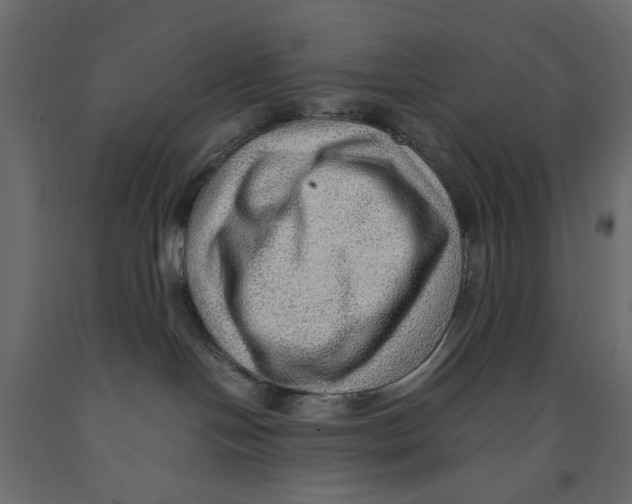 X0000091960094200710041037
