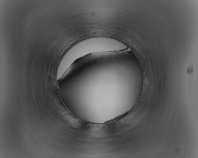 X0000091960096200710041037