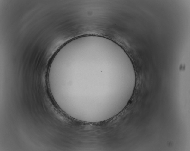 X0000091960098200710041037