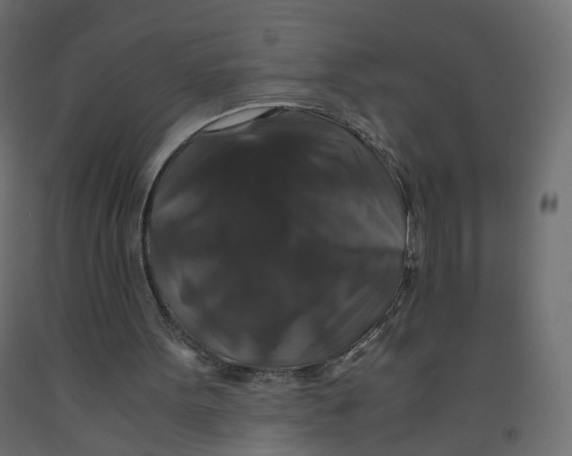 X0000091960099200710041037