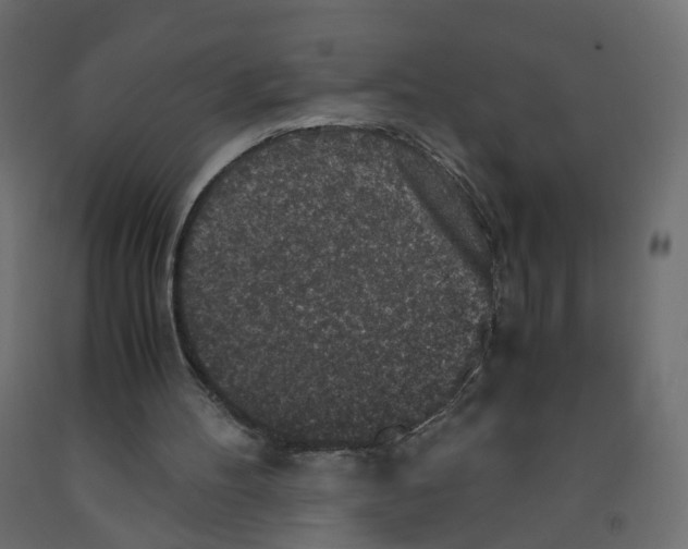 X0000091960100200710041037