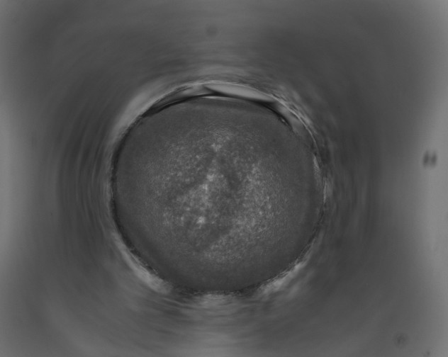 X0000091960101200710041037