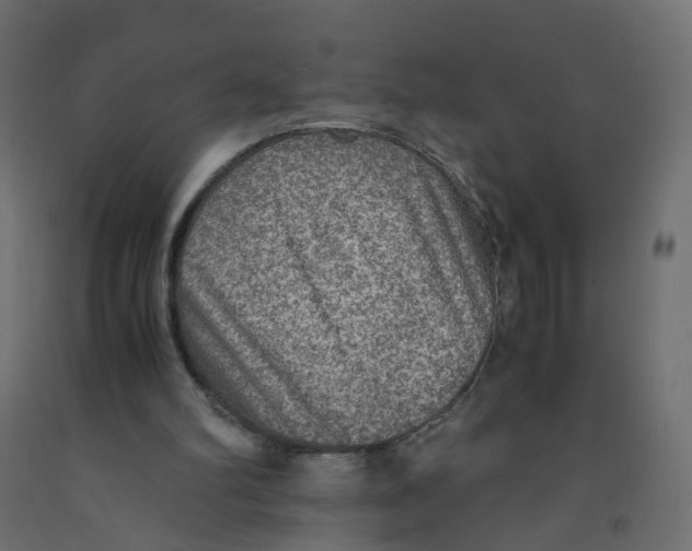 X0000091960102200710041037