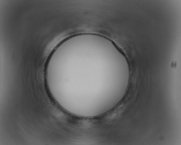 X0000091960103200710041037
