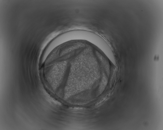 X0000091960104200710041037