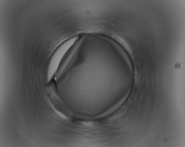 X0000091960105200710041037