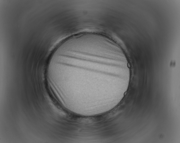 X0000091960106200710041037
