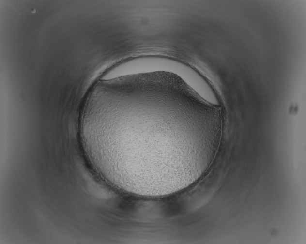 X0000091960107200710041037