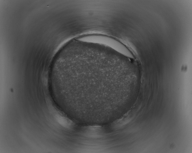 X0000091960108200710041037