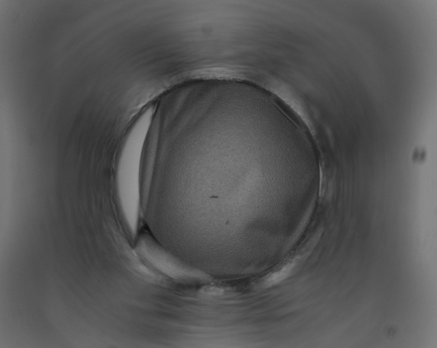 X0000091960109200710041037