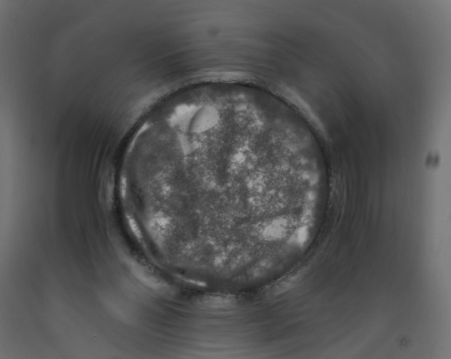 X0000091960110200710041037