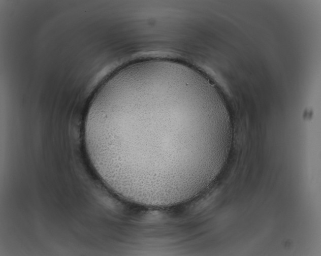 X0000091960111200710041037