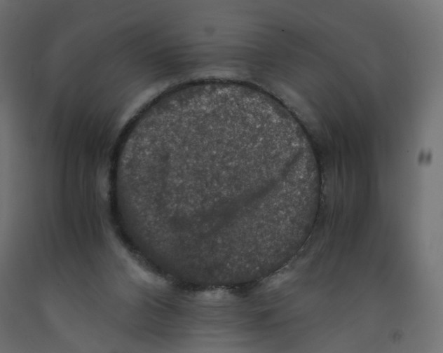 X0000091960112200710041037