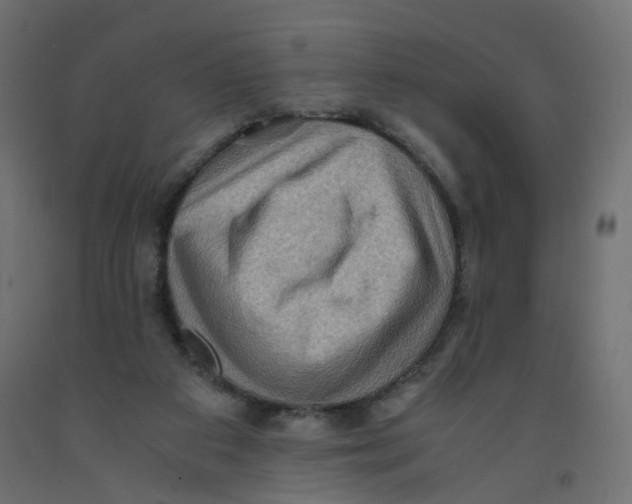 X0000091960113200710041037