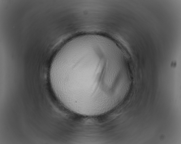 X0000091960115200710041037