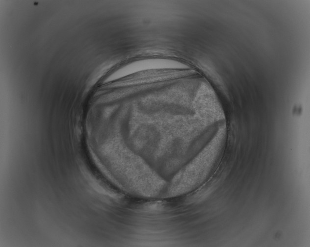 X0000091960116200710041037